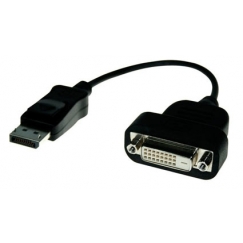 Display Port to DVI Adapter